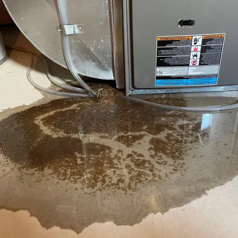 Pipe Burst and Leak Restoration in North Berwick, ME